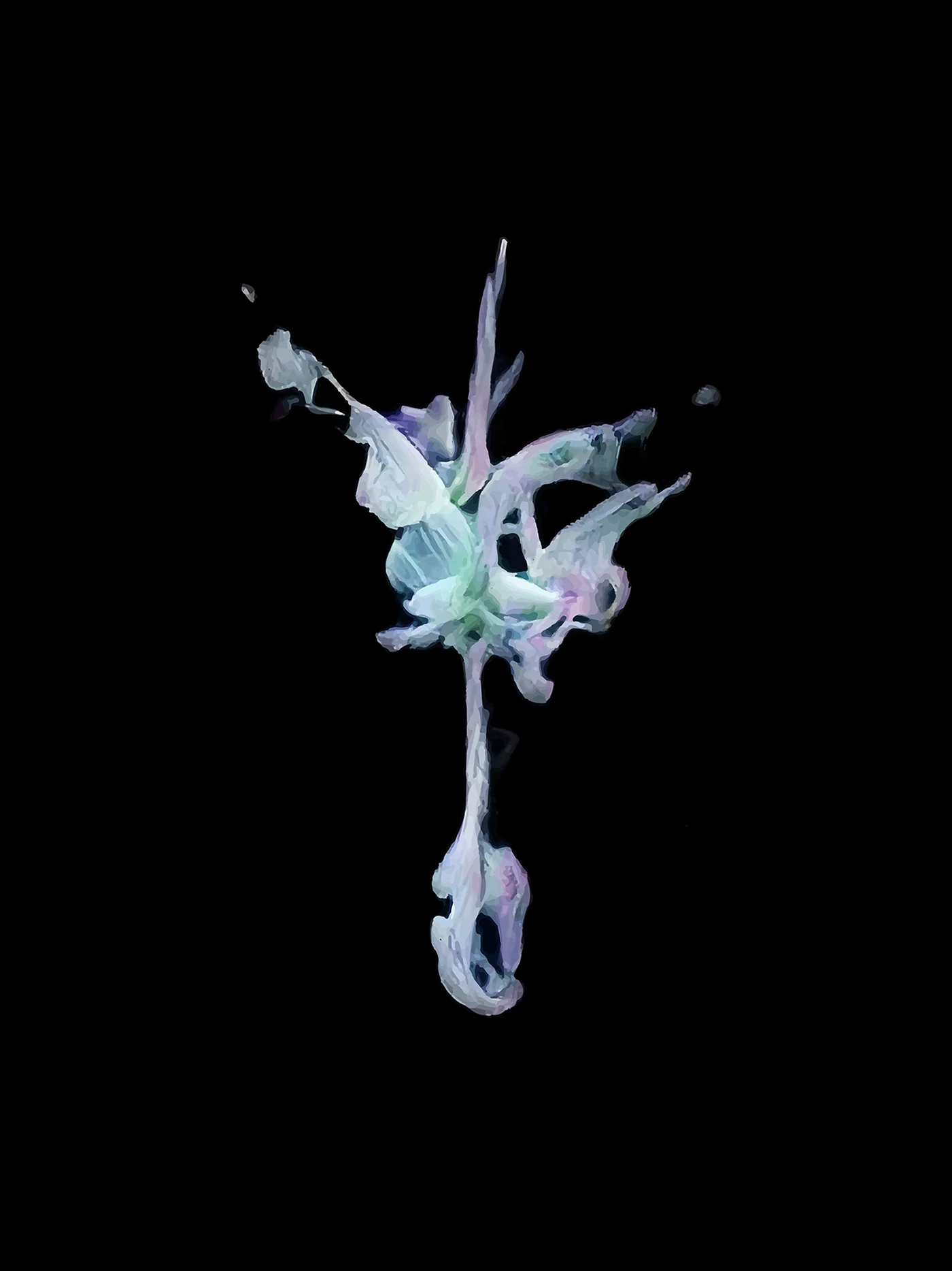 diatom '22 — 9