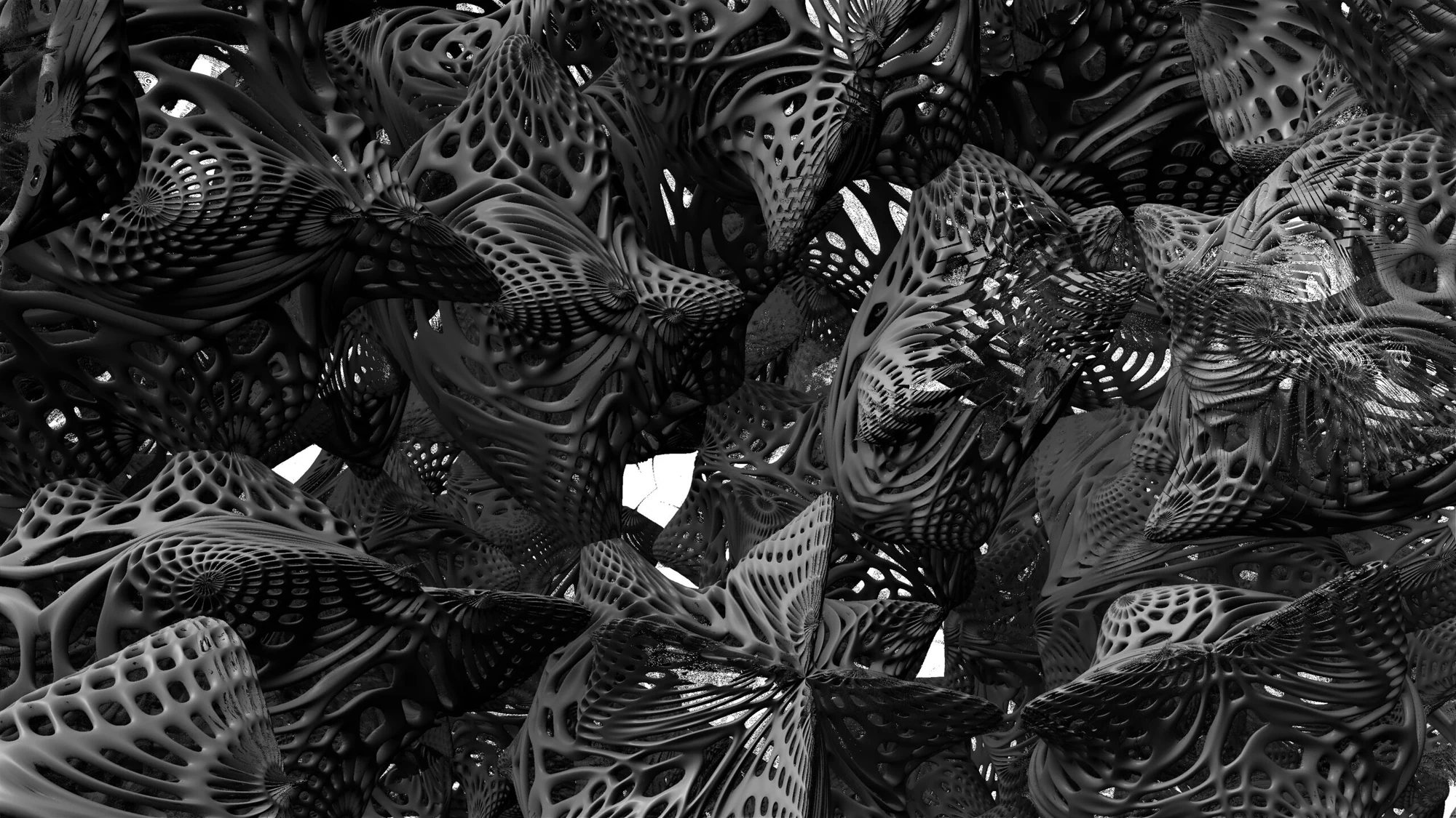 quaternion '22 — 5