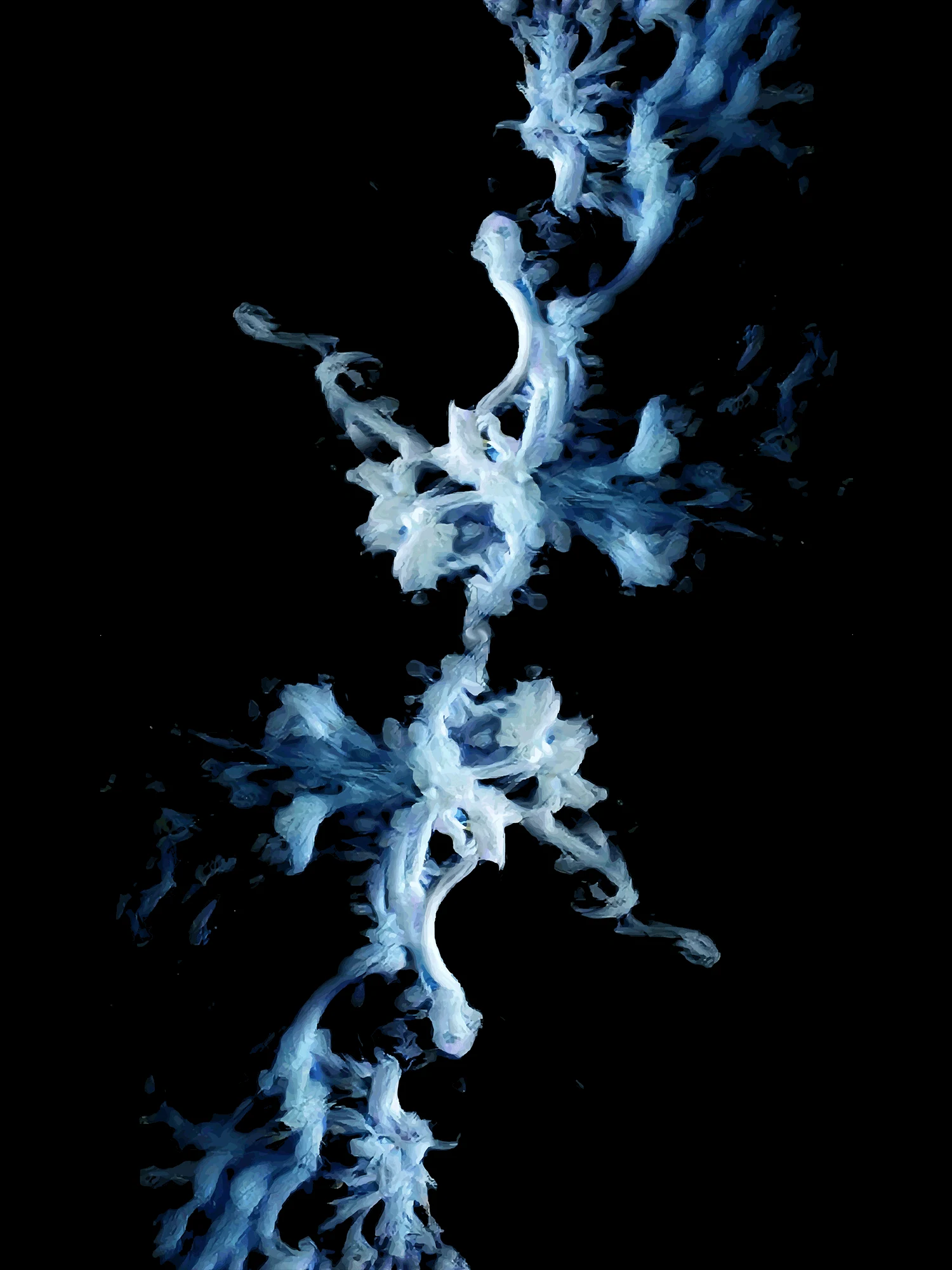 diatom '22 — 6